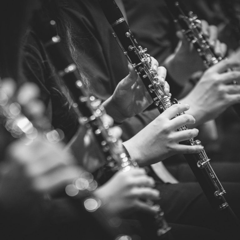 Klarinetten im Orchester